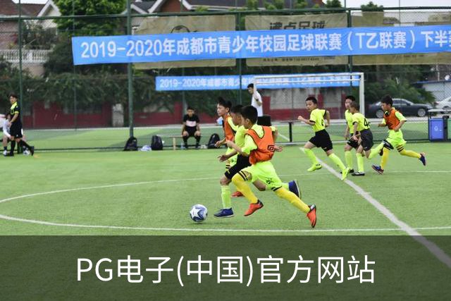 专业PG电子(中国)官方网站平台