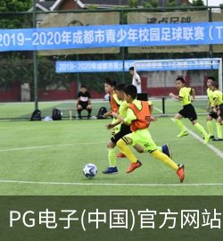 案例PG